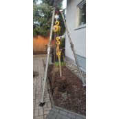 Chain suspension / Chain hoist | 4-strang | Width: 10 mm | Length: 2.0 m